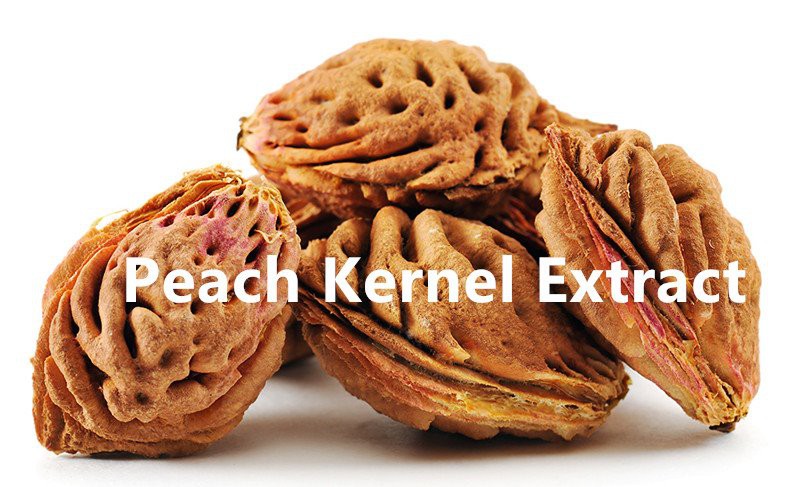 Peach Kernel Extract .jpg